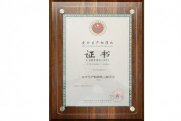 Three-level enterprise of safety production standardization